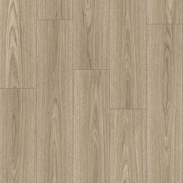 FRENCH MAPLE CC820A template